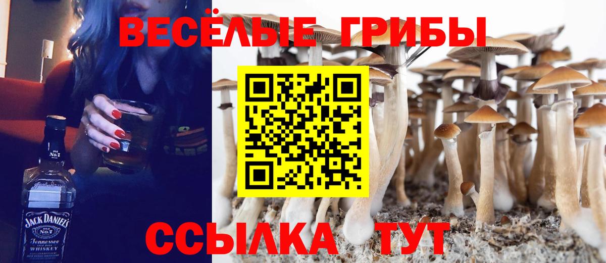 Псилоцибиновые грибы Psilocybine cubensis  Вход с VPN  Шадринск 